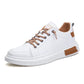 Berlinno - Casual Baskets